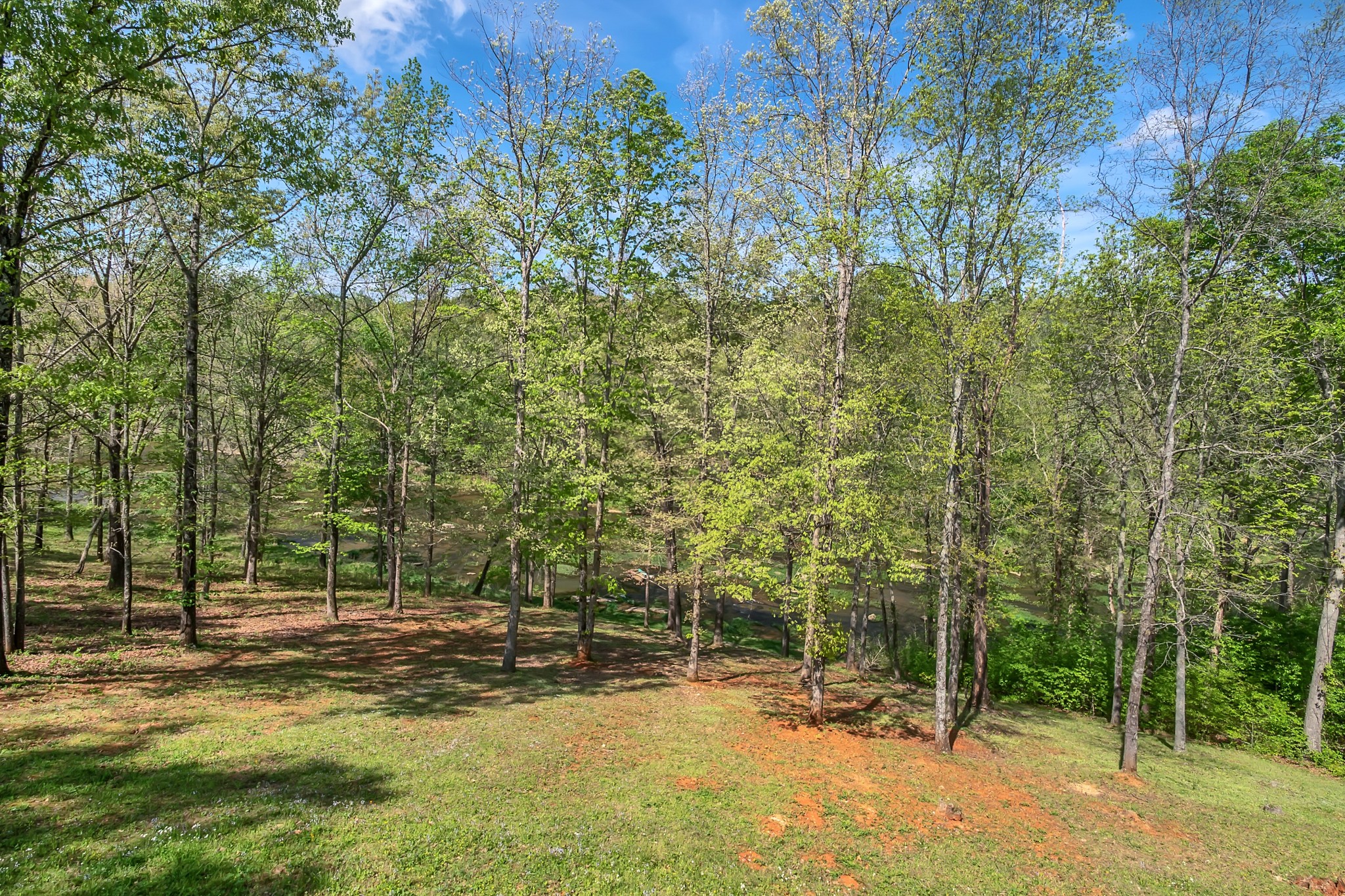 294 Cove Lane Lawrenceburg TN 38464