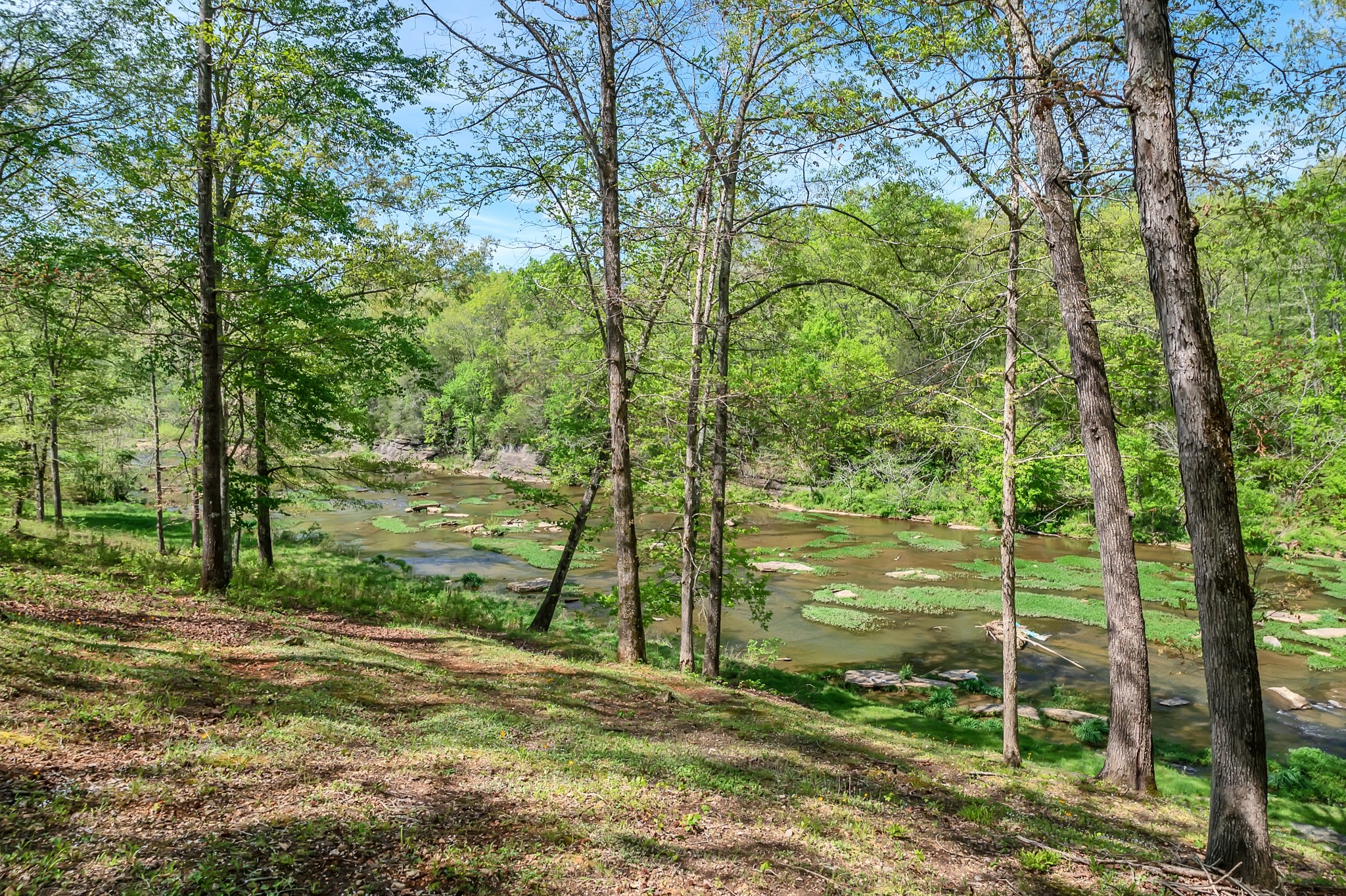 294 Cove Lane Lawrenceburg TN 38464