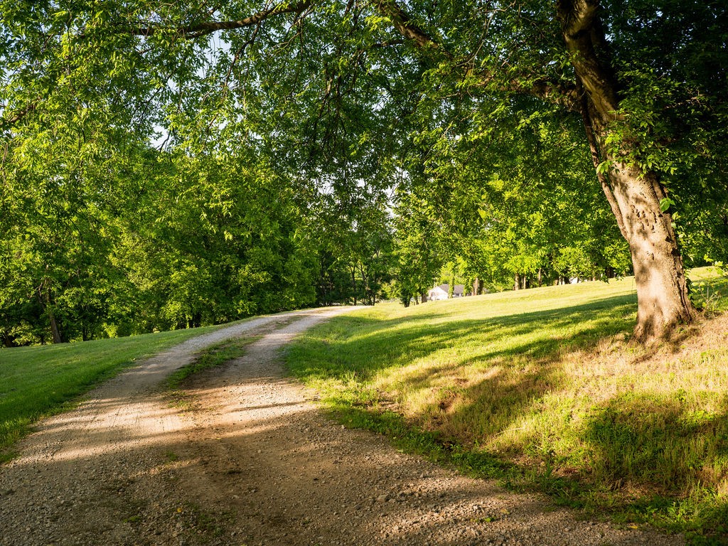 2351 Harlan Road Columbia TN 38401