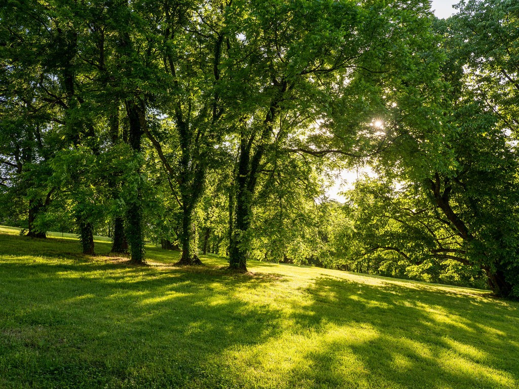 2351 Harlan Road Columbia TN 38401
