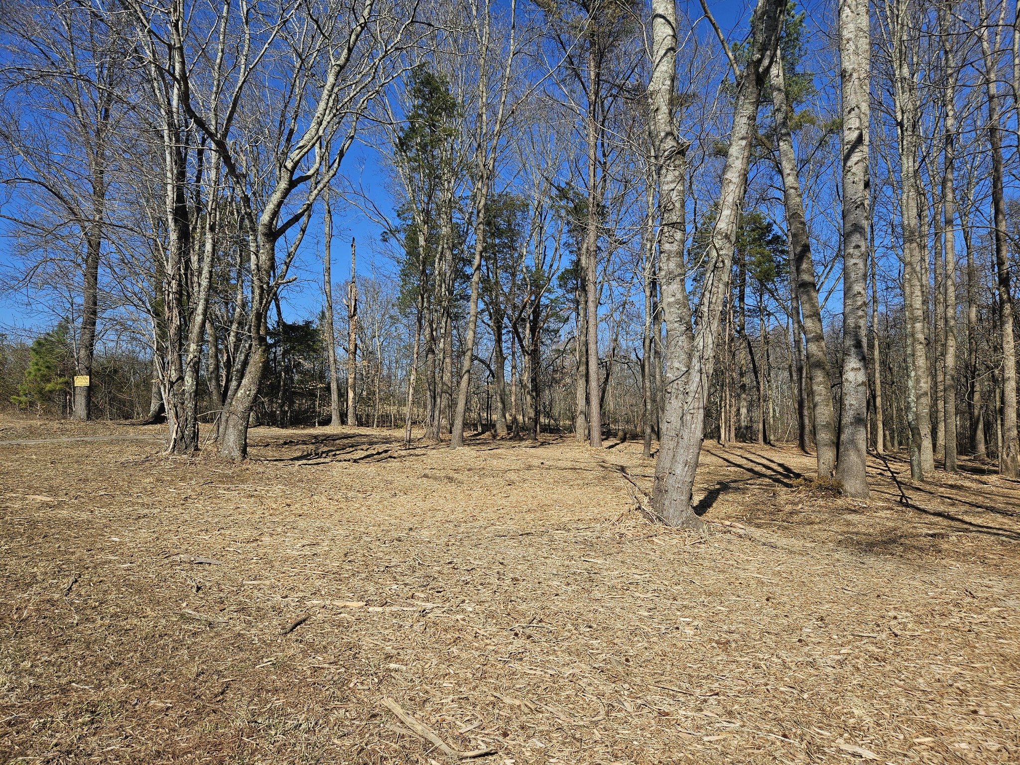 0 Highway 70, S Woodbury TN 37190