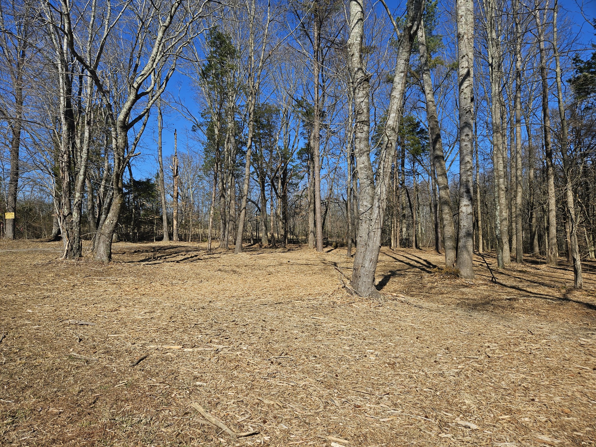 0 Highway 70, S Woodbury TN 37190