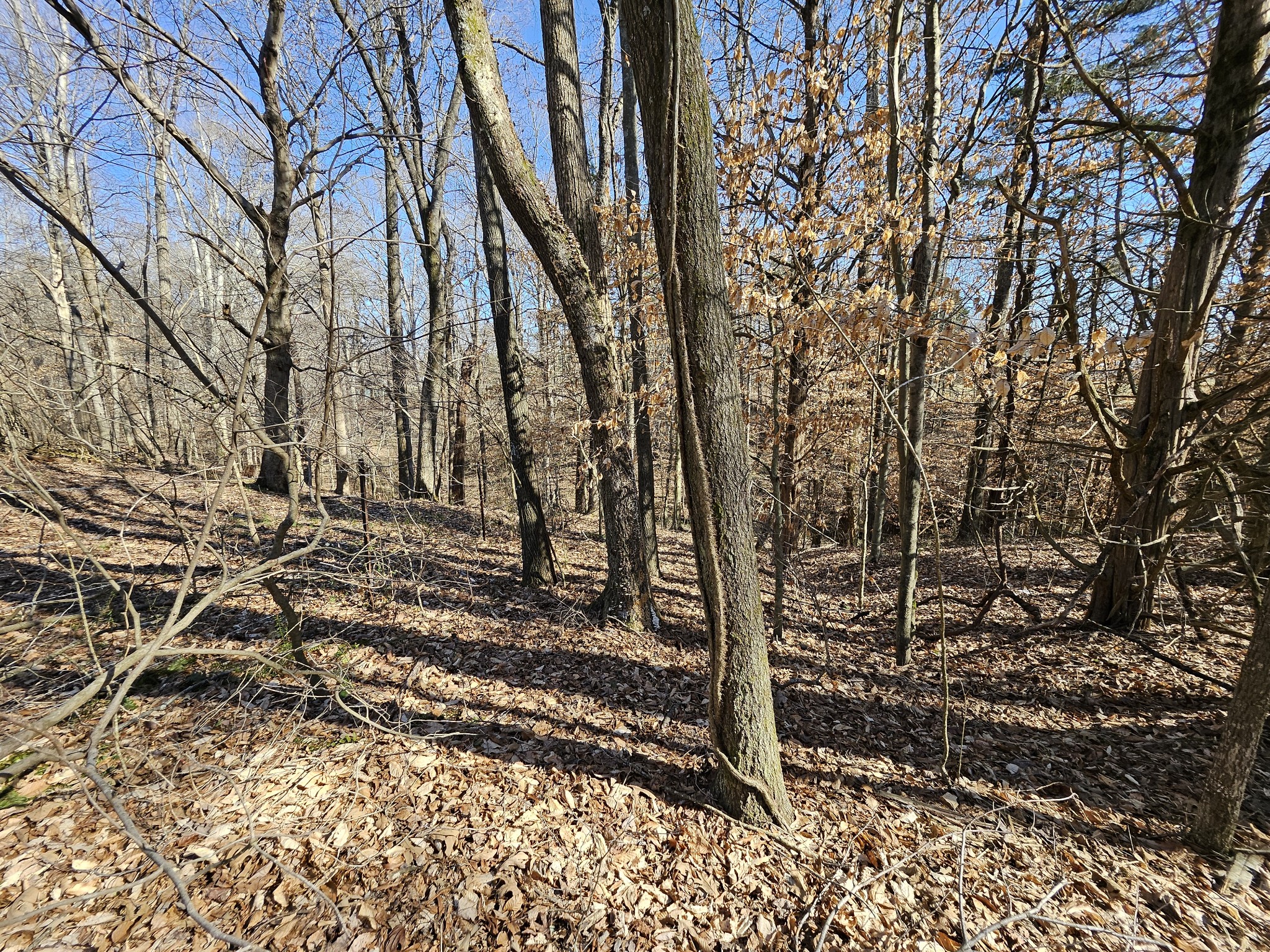 0 Highway 70, S Woodbury TN 37190