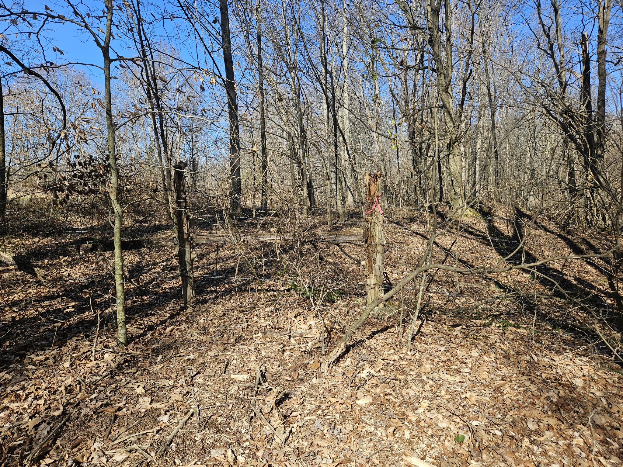 0 Highway 70, S Woodbury TN 37190