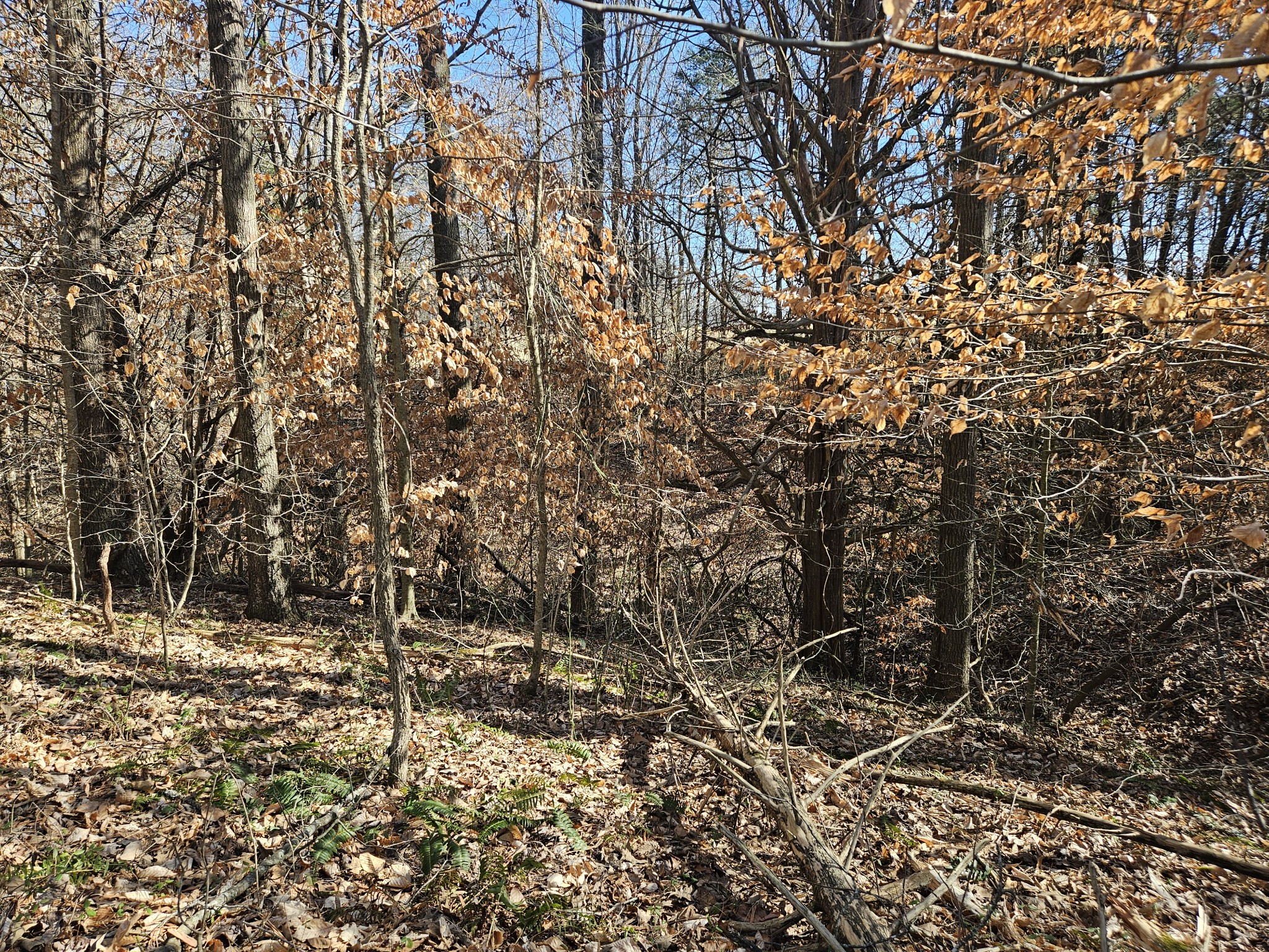 0 Highway 70, S Woodbury TN 37190