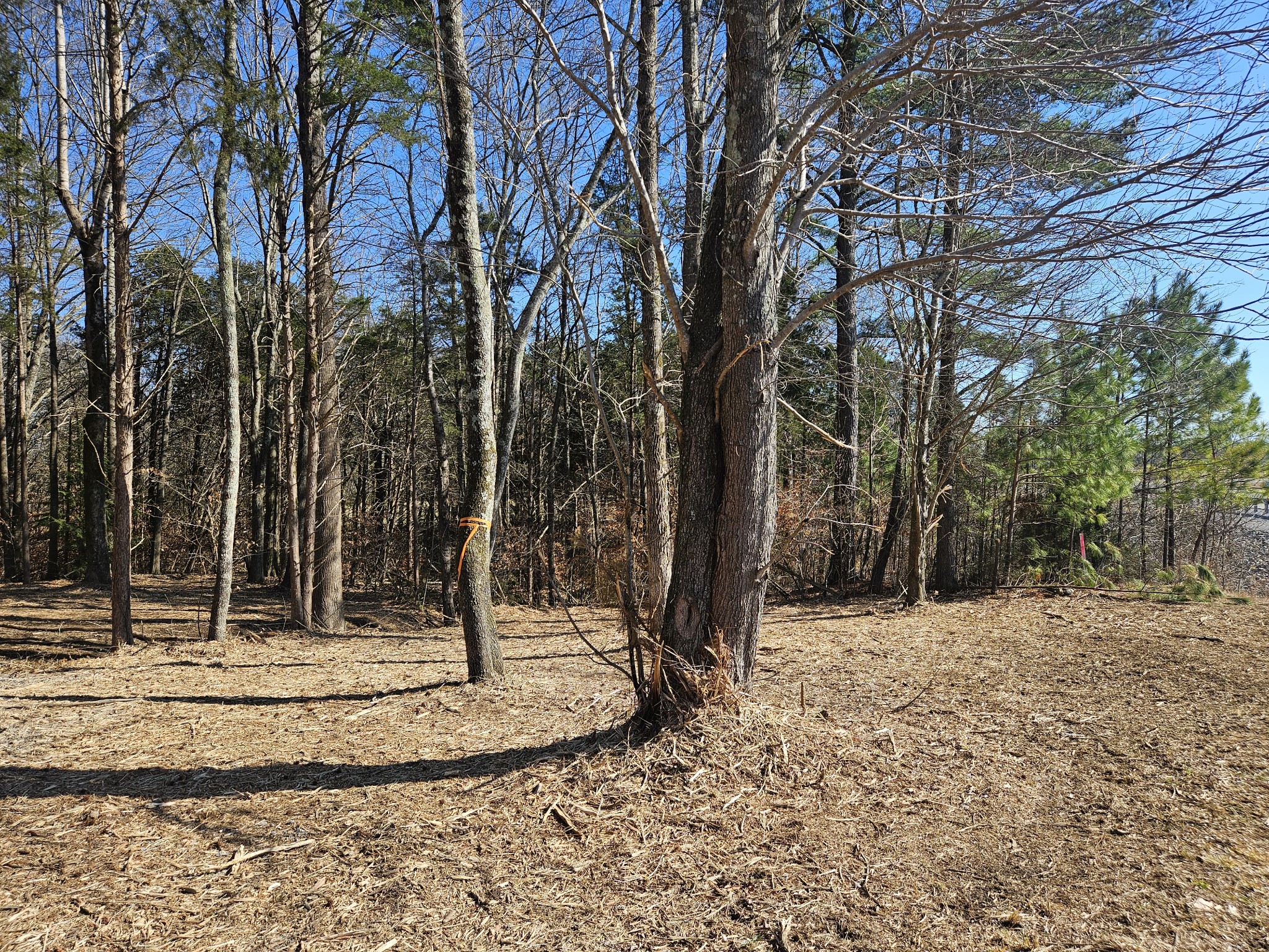 0 Highway 70, S Woodbury TN 37190