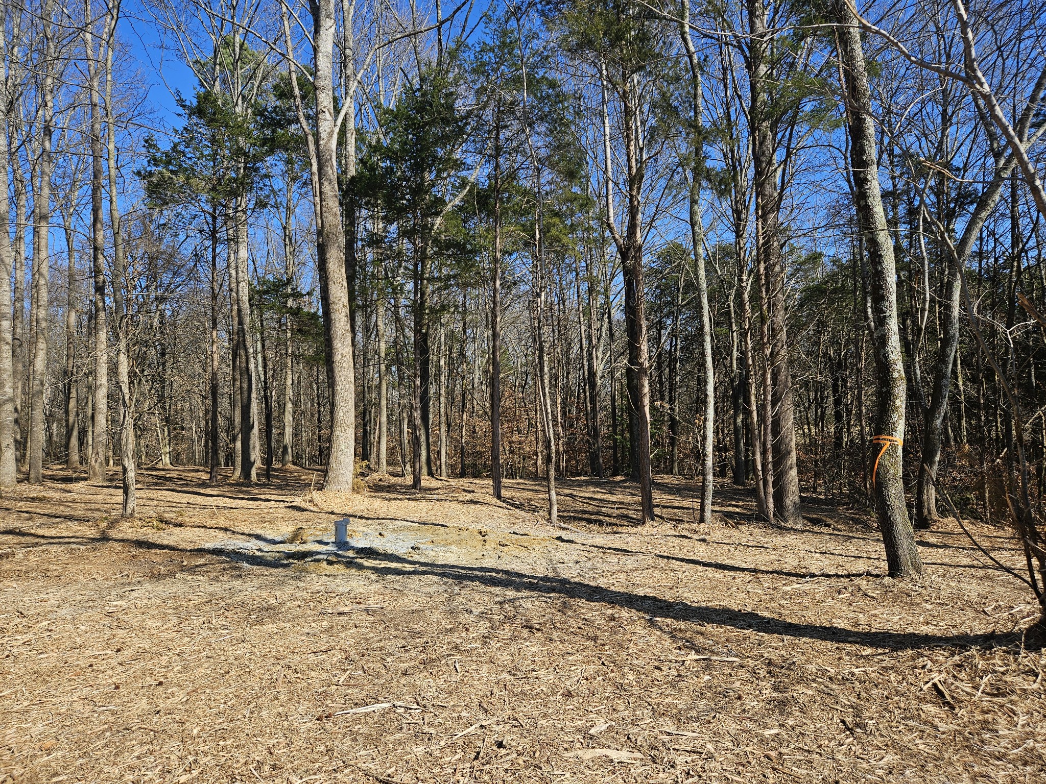 0 Highway 70, S Woodbury TN 37190