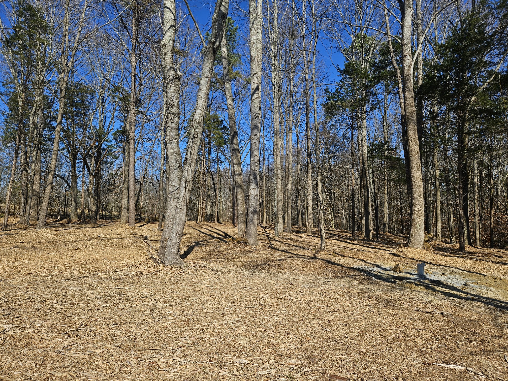 0 Highway 70, S Woodbury TN 37190