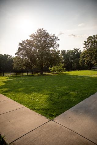 857 Hicks Cut Road Pulaski TN 38478