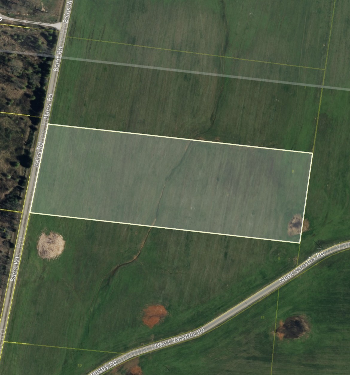0 Bains Road Tract 8 Hillsboro TN 37342