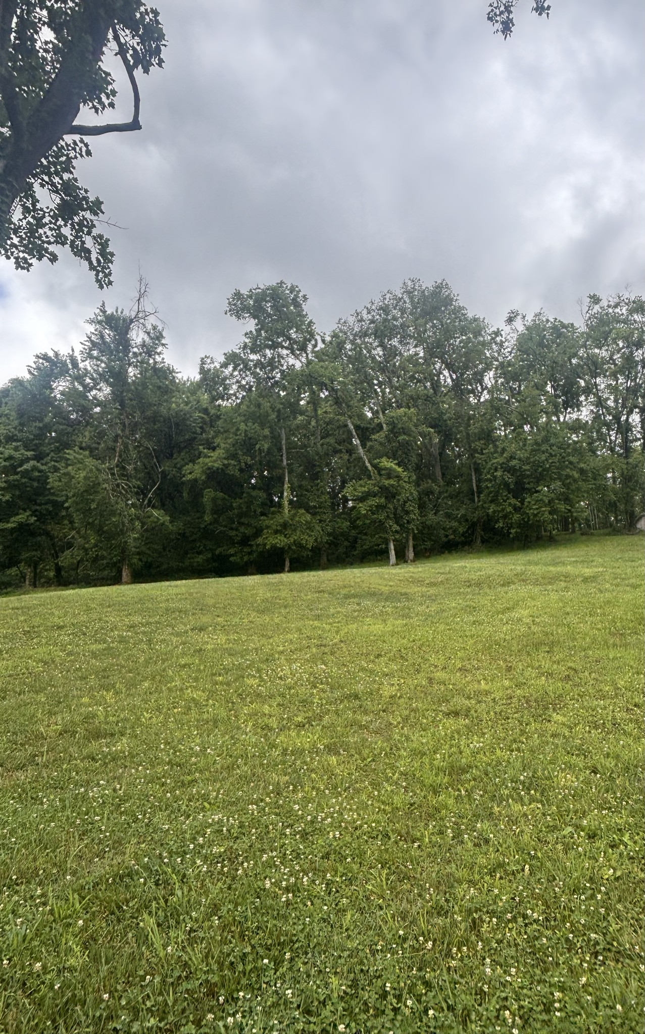 269 Rock Cress Road Nolensville TN 37135