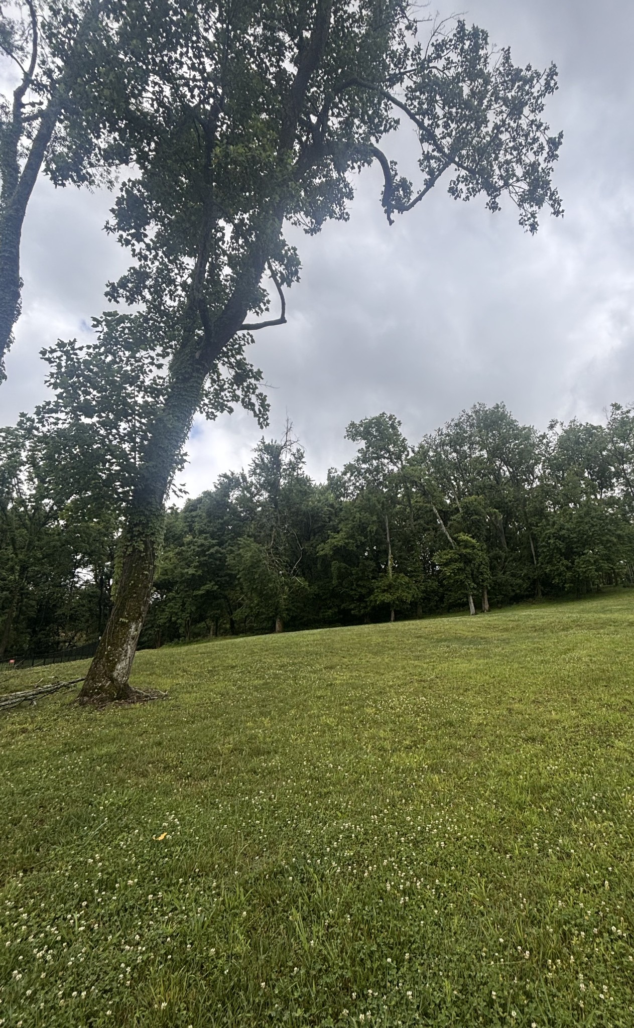 269 Rock Cress Road Nolensville TN 37135