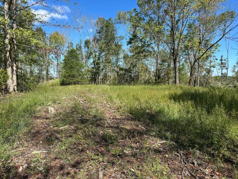 1 Highway 230, W Only TN 37140