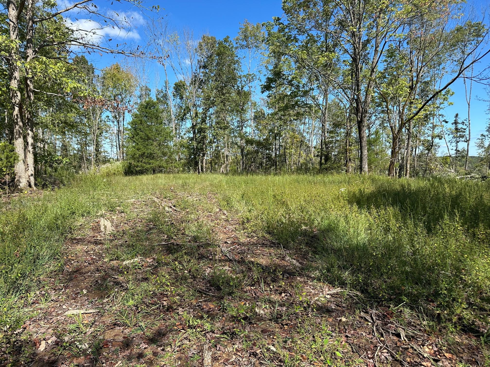 1 Highway 230, W Only TN 37140