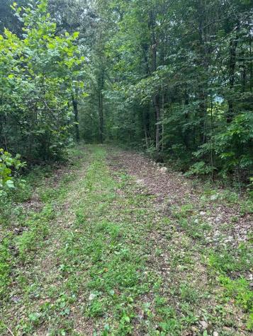 1 Highway 230, W Only TN 37140