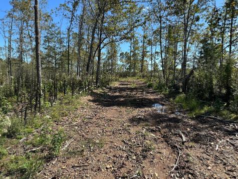 1 Highway 230, W Only TN 37140