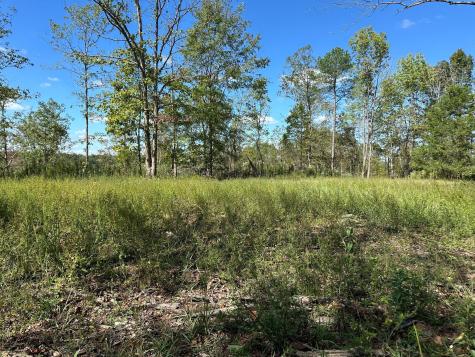 1 Highway 230, W Only TN 37140