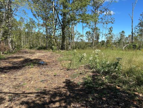 1 Highway 230, W Only TN 37140