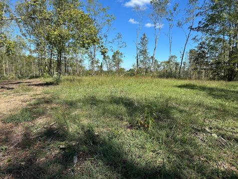 1 Highway 230, W Only TN 37140