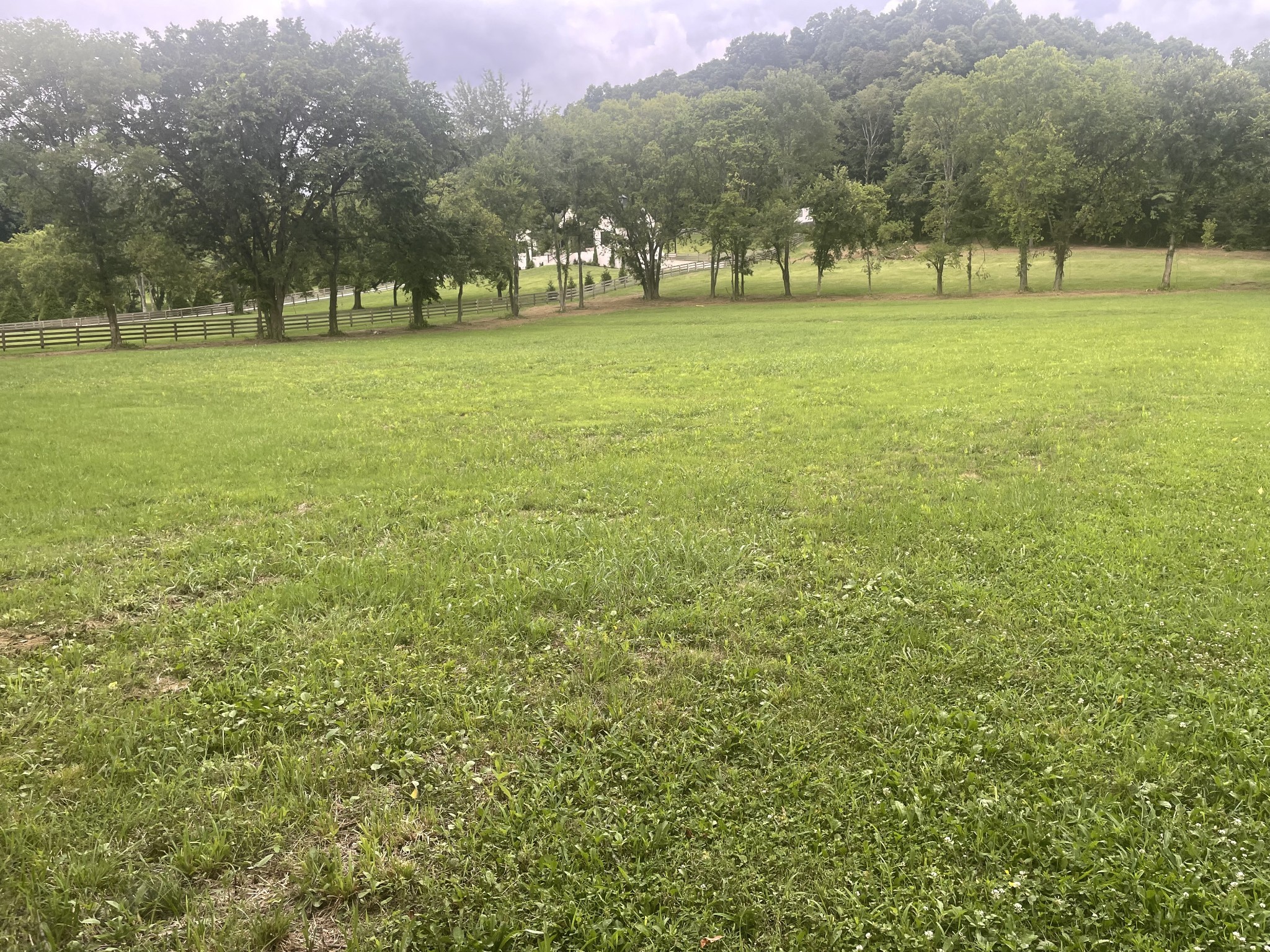 6822 Arno Allisona Road College Grove TN 37046