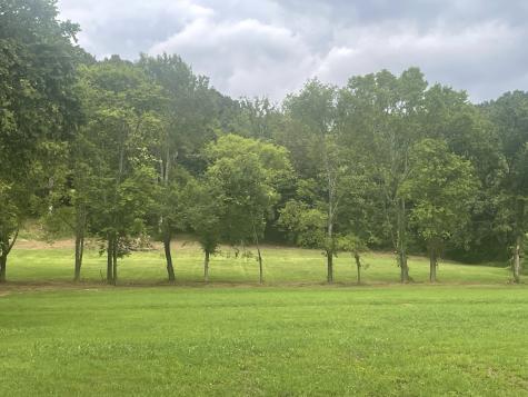 6822 Arno Allisona Road College Grove TN 37046