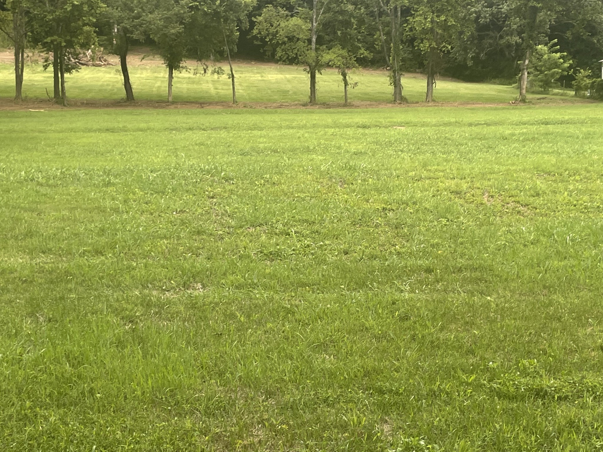 6822 Arno Allisona Road College Grove TN 37046