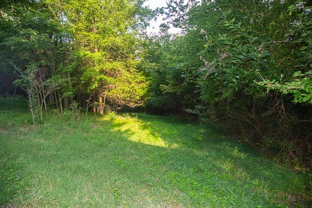 6822 Arno Allisona Road College Grove TN 37046