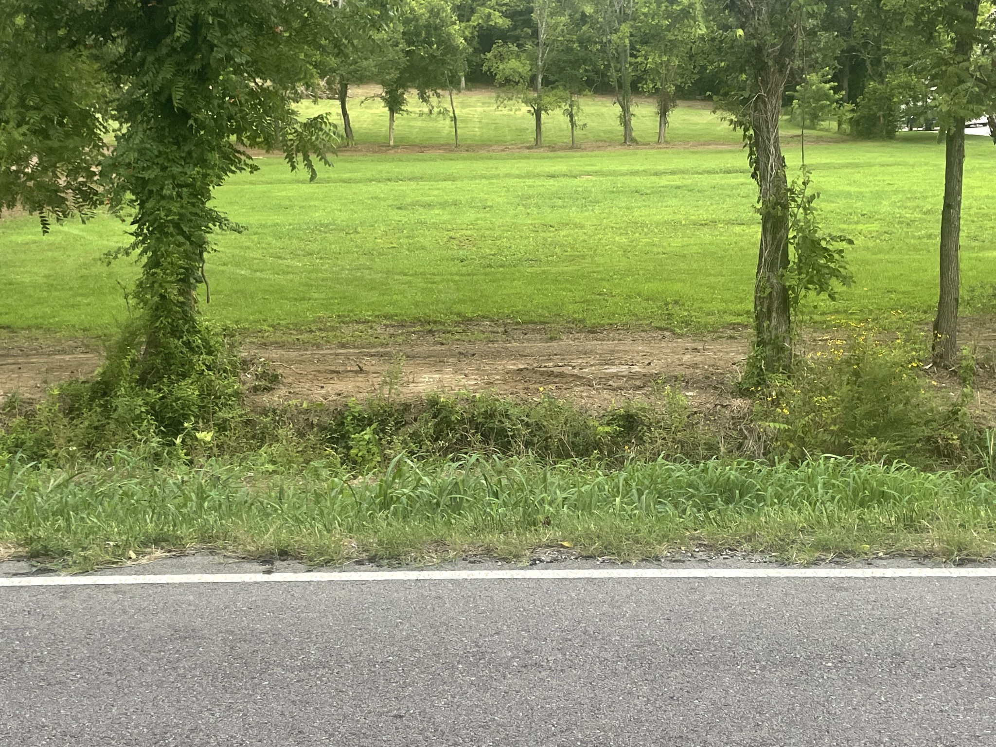 6822 Arno Allisona Road College Grove TN 37046
