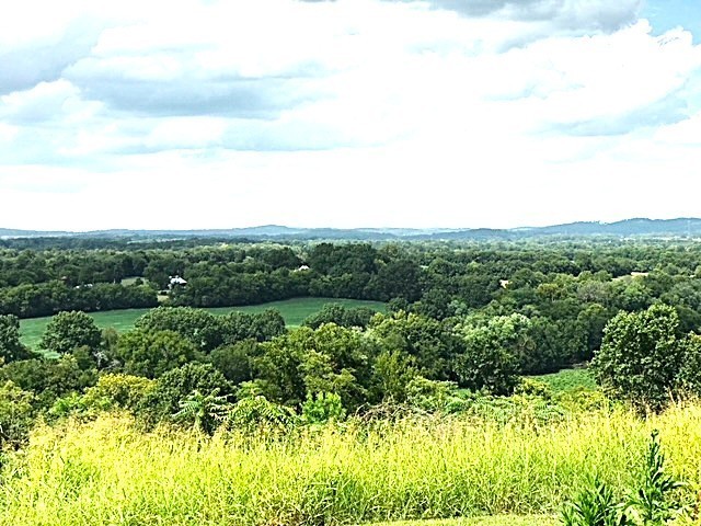 0 Overlook Lane Shelbyville TN 37160