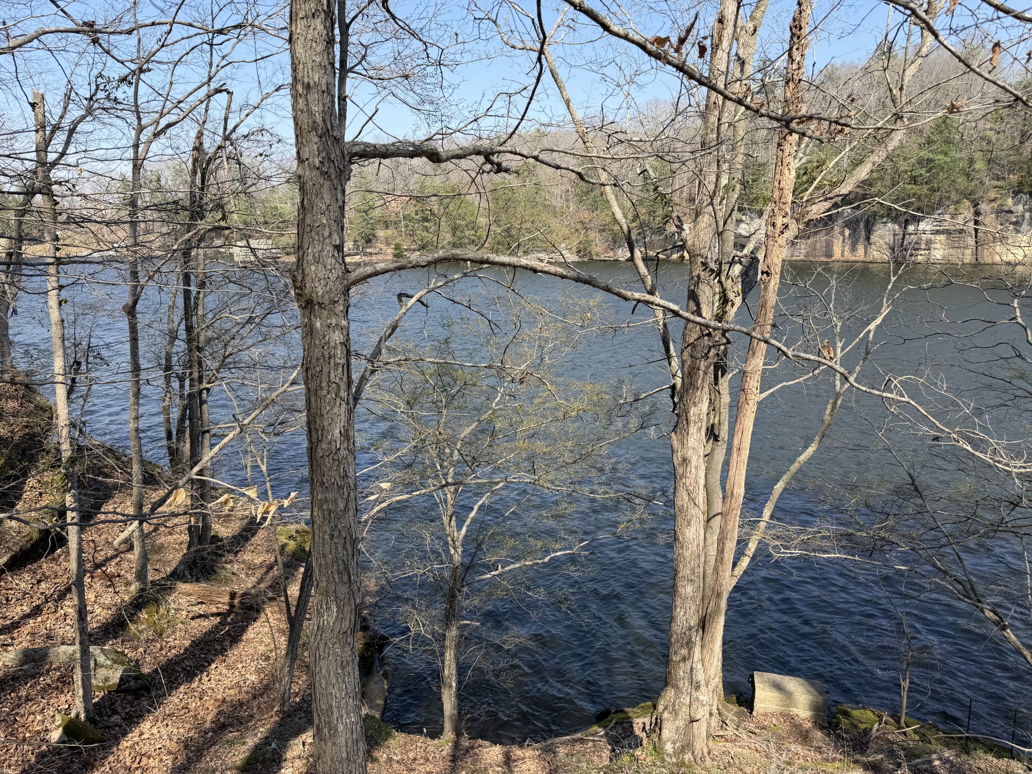 0 Canyon Run Road Lewisburg KY 42256