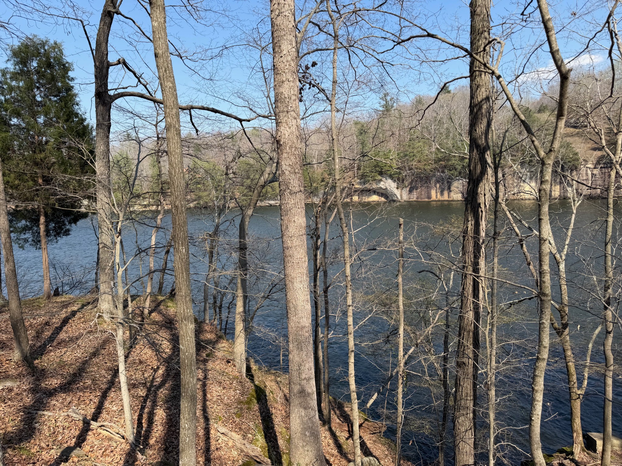 0 Canyon Run Road Lewisburg KY 42256