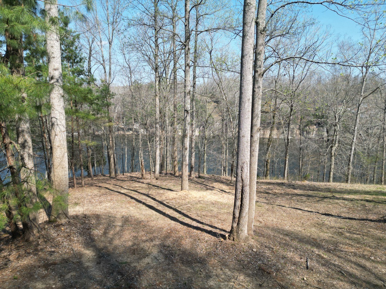 0 Canyon Run Road Lewisburg KY 42256