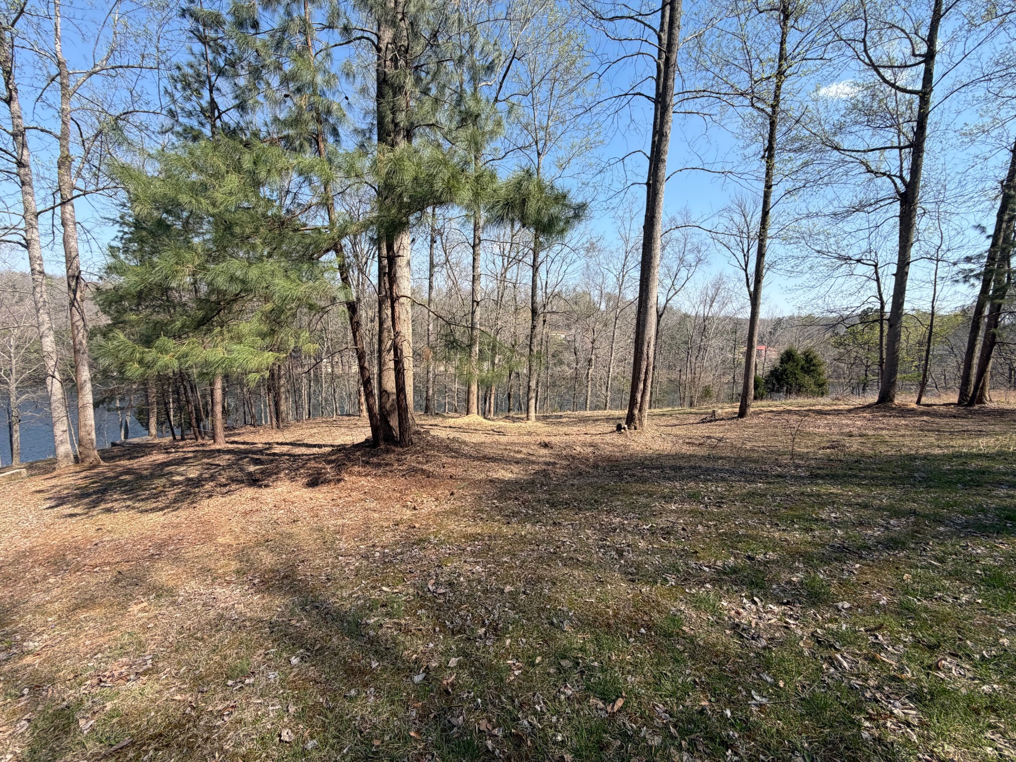 0 Canyon Run Road Lewisburg KY 42256
