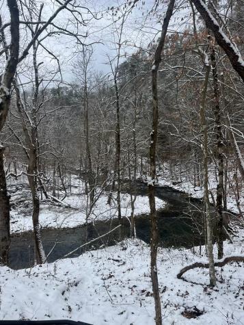 175 Luna Mill Road Smithville TN 37166