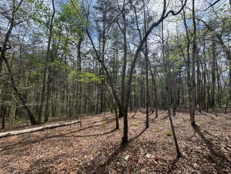 175 Luna Mill Road Smithville TN 37166