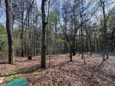 175 Luna Mill Road Smithville TN 37166