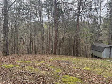 175 Luna Mill Road Smithville TN 37166