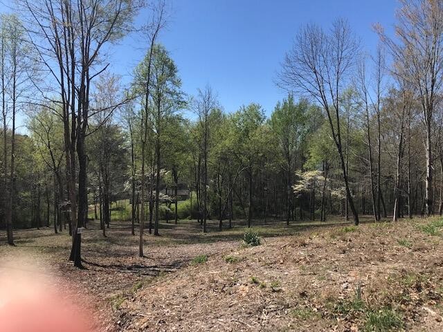18 Piney View Spring City TN 37381