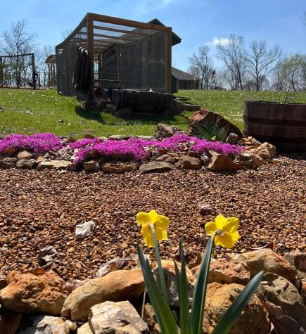 2675 Mockingbird Hill Road Palmyra TN 37142