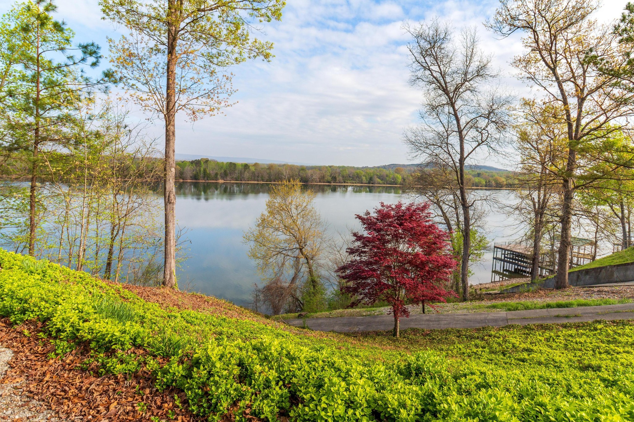 325 Russell Lane Decatur TN 37322