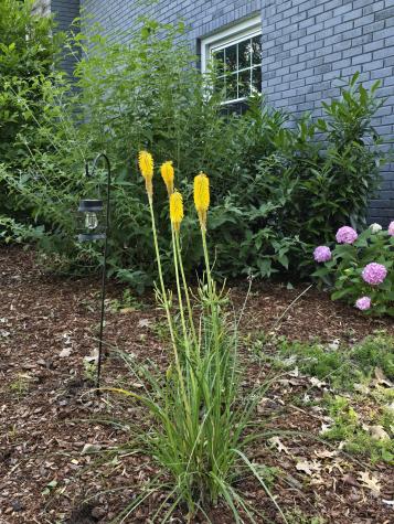 6817 Pennywell Drive Nashville TN 37205