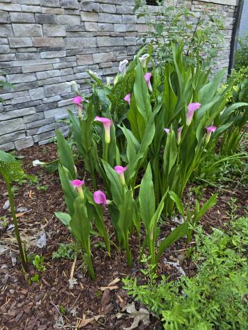 6817 Pennywell Drive Nashville TN 37205