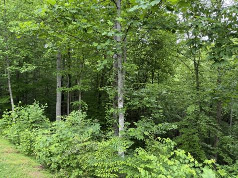 1076 Skyline Drive Kingston Springs TN 37082