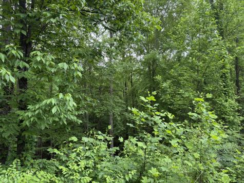 1076 Skyline Drive Kingston Springs TN 37082