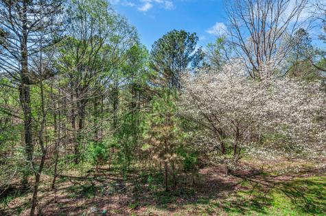 1425 Wesley Road Bon Aqua TN 37025