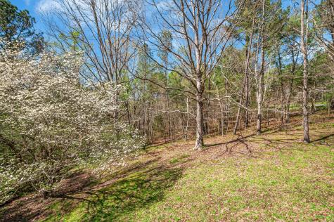 1425 Wesley Road Bon Aqua TN 37025