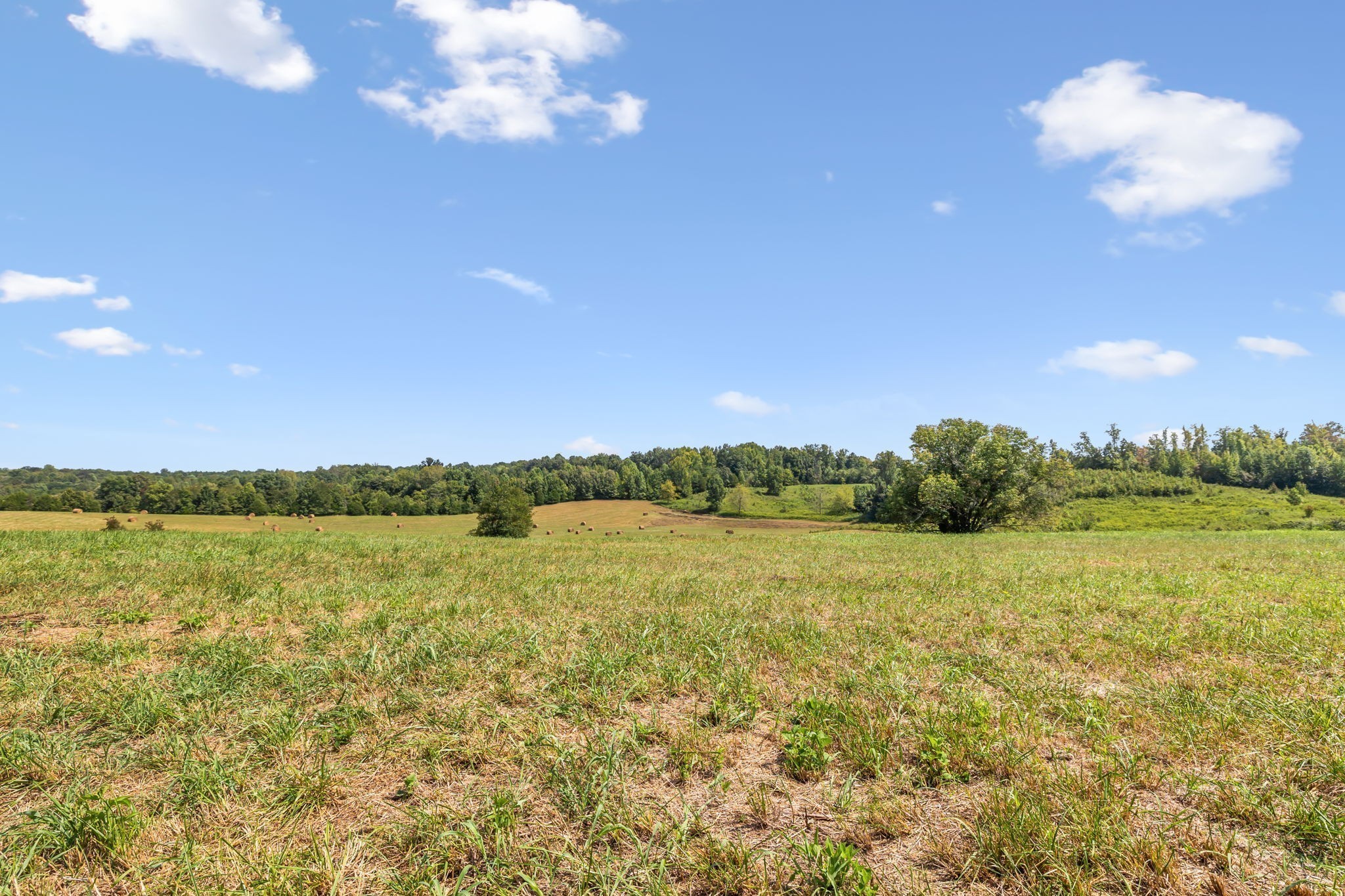 341 Anthony Adcock Road Sparta TN 38583