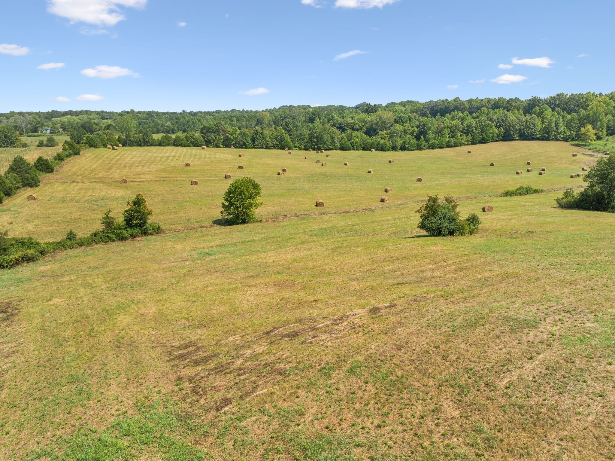 341 Anthony Adcock Road Sparta TN 38583