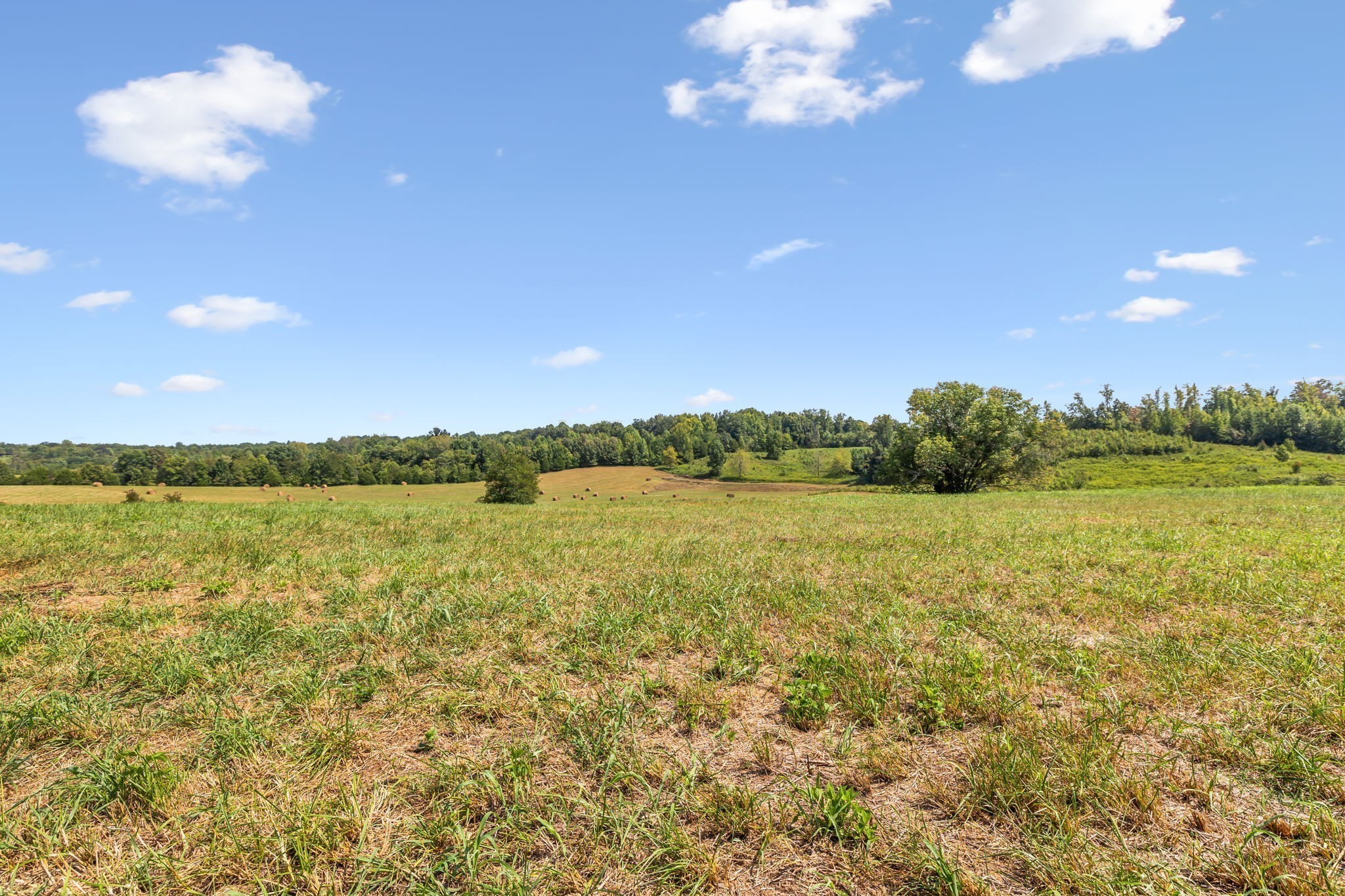 341 Anthony Adcock Road Sparta TN 38583