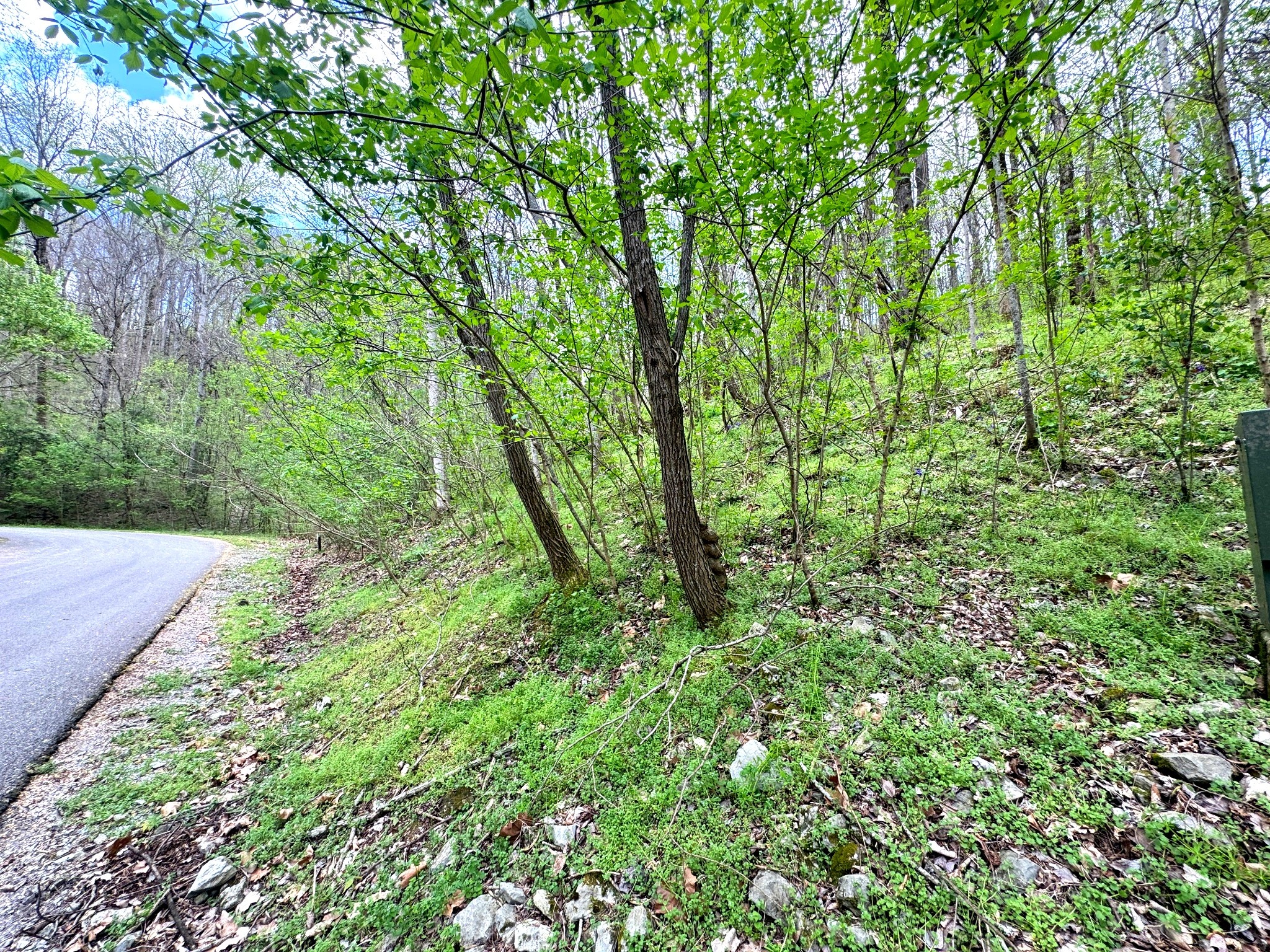 0 Lakeview Drive Smithville TN 37166